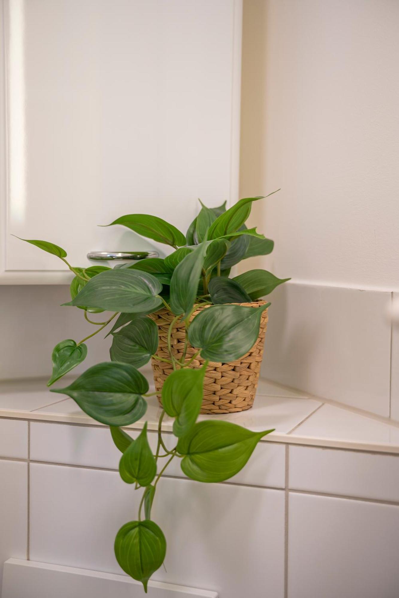 Haus Unterm Mammutbaum - Elberadweg Appartement Maagdenburg Buitenkant foto